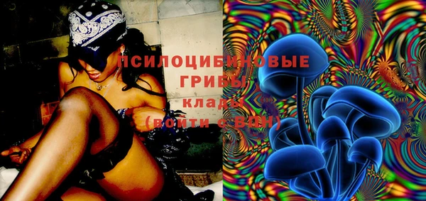 ГАЛЛЮЦИНОГЕННЫЕ ГРИБЫ Надым