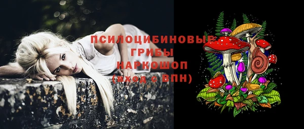 ГАЛЛЮЦИНОГЕННЫЕ ГРИБЫ Надым